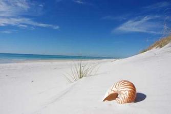 Souldrama in florida, St pete beach, workshopos for the soul, group psychotherapy, relationships, psychodrama,training for mental health counselors